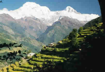 Nepal Scene